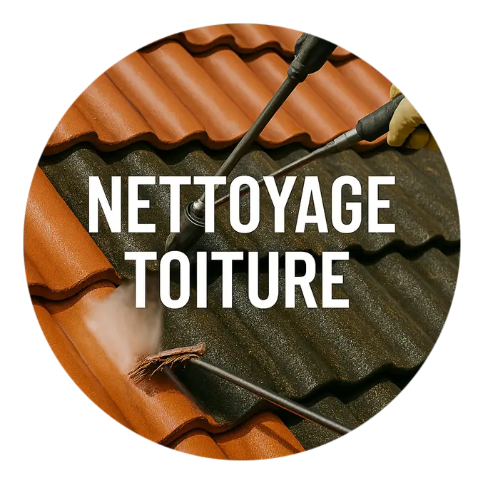 Nettoyage de toiture Démoussage Hydrofuge Eure-et-Loir , Île-de-France , Rouen